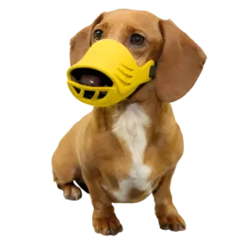 Medium Silicone Muzzle for Dogs by Artero