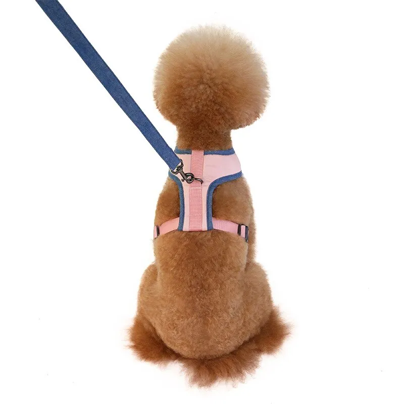 Pets Walking Comfortable Vest