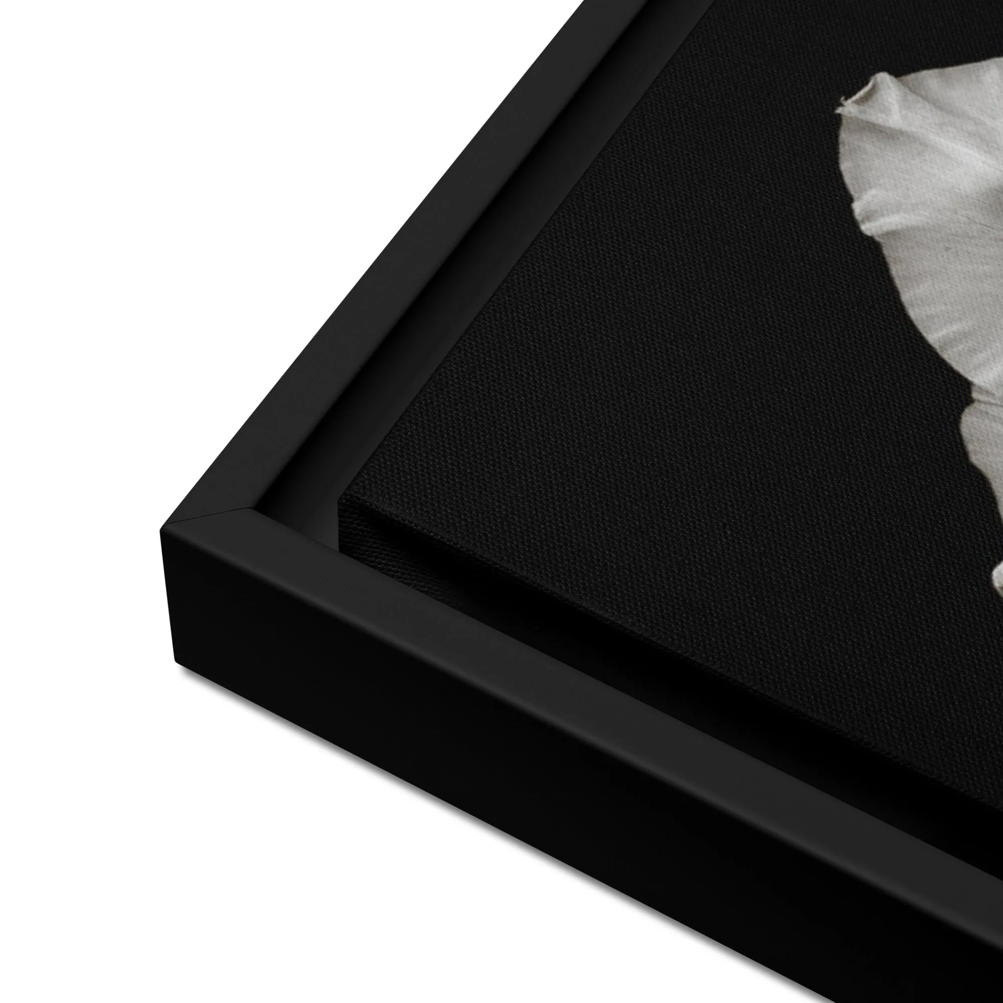 White Gladiolus Flower Framed Canvas Print