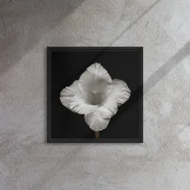 White Gladiolus Flower Framed Canvas Print